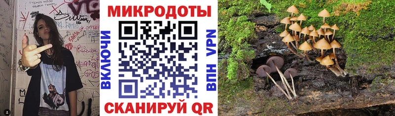 купить   Лебедянь  Псилоцибиновые грибы Cubensis 